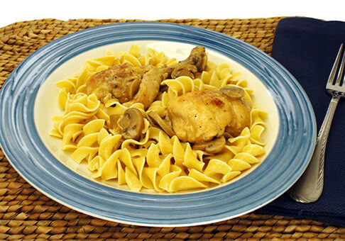 tn_Fricasseed_Chicken_withNoodles
