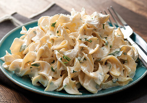 tn_Noodles_Romanoff_over_ExtraBroad_Noodles